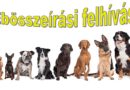Ebösszeírás