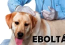 Eboltás