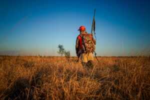 A lone hunter in camouflage and orange cap walking through a sunny field in Florida.